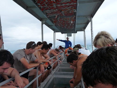Glass bottom boat tour