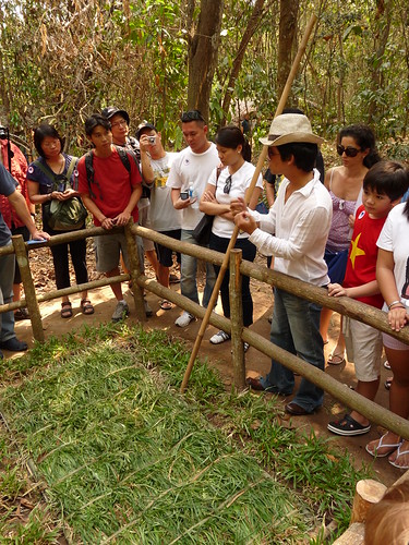 Demonstrating a Viet Cong trap
