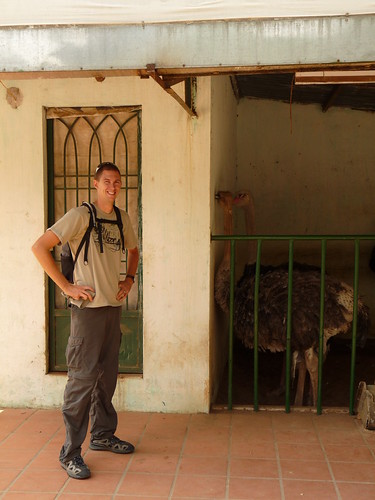 Ed with the ostriches