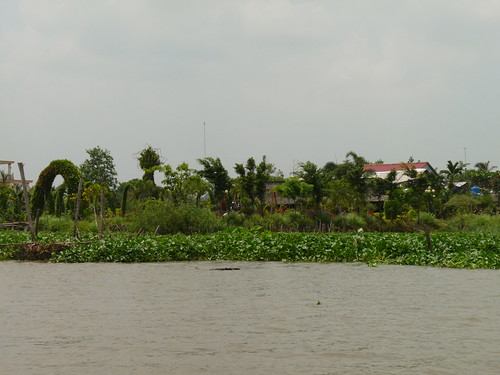 Our lunch stop in the Mekong Delta