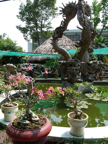 Mekong Delta services