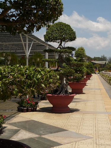 Dalat Flower Gardens