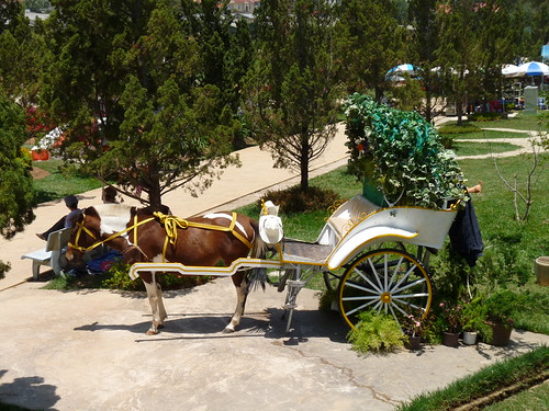 Horse and carriage at Dalat Flower Gardens
