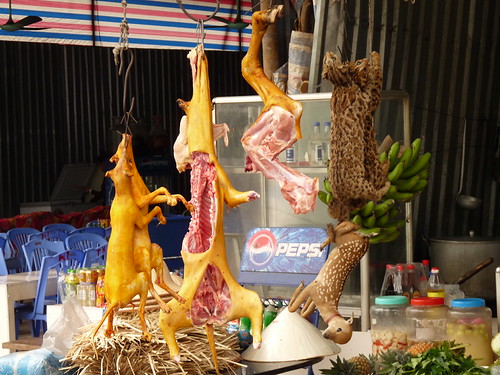 Various animals available for lunch