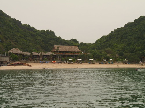 Monkey Island Resort