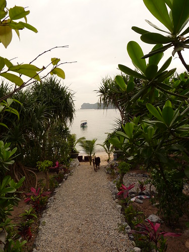 Monkey Island Resort