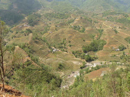 Stunning view across the paddy fields