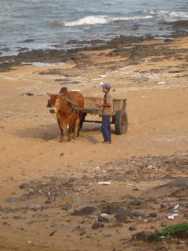At work on the beach