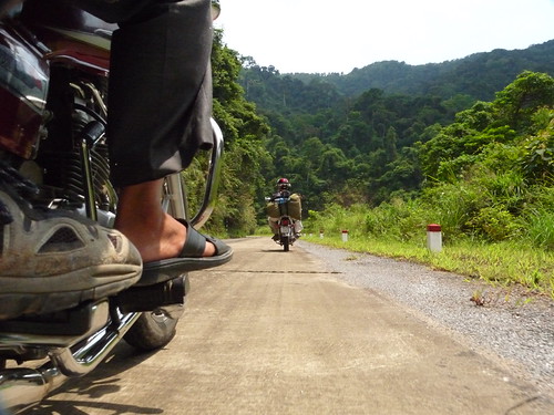 Travelling through the jungle