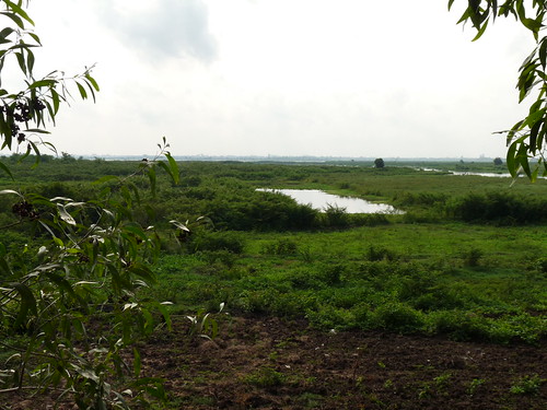 View across the countryside from the Killing Fields of Choeung Ek