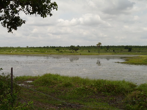 Cambodian countryside