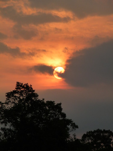 Sunrise at Angkor Wat